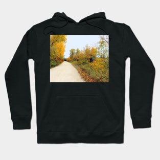 Trail By The Rail - Winnipeg Hoodie